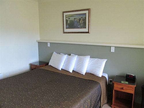 Shortland Court Motel Thames Buitenkant foto